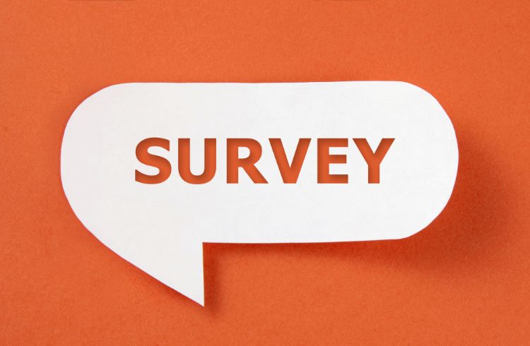 2025 survey